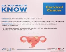 Cervical Cancer 