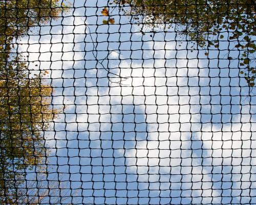 Why Do People Put a Pigeon Safety Net on the Balcony