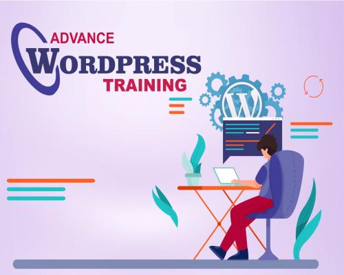 What is WordPress and Some Settings about WordPress that Developers Should Know